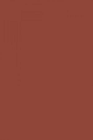 FARROW AND BALL PICTURE GALLERY RED NO. 42 PAINT